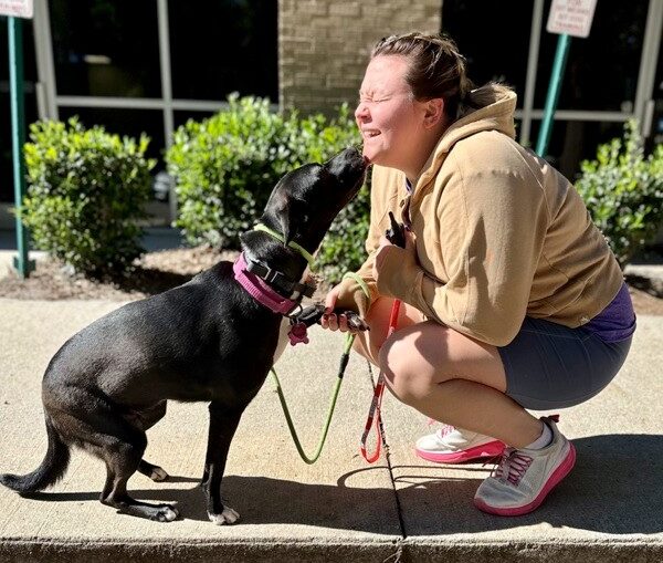 black lab puppy with trainer